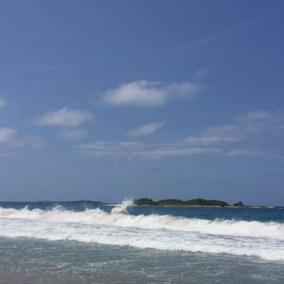 OchoaSarab's profile picture. 