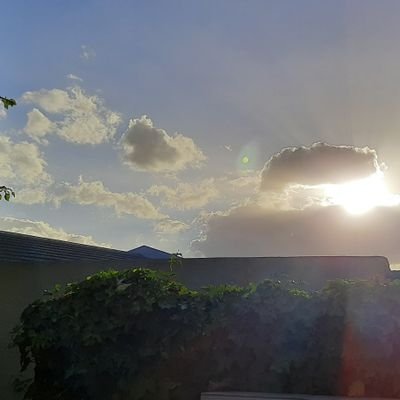 DanielDuring's profile picture. lit🤟