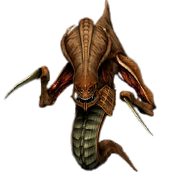 DownMaxX's profile picture. 