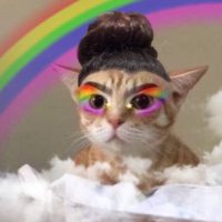 like she created the fucking rainbow🌈(@Rocioceja_) 's Twitter Profile Photo