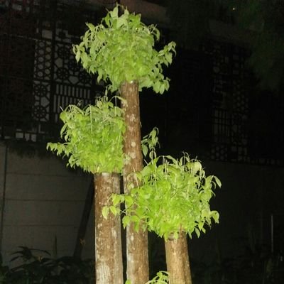 Benk60318679's profile picture. sabar