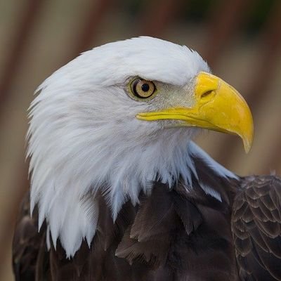 JoelKen62255814's profile picture. 204, Unifor National Representative, Husband, Father, Activist and Ally. Raised blue collar and have Unifor blood running through my veins! Tweets are mine.