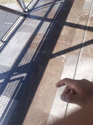 Angel71710517's profile picture. Gastar