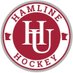 Hamline Men’s Hockey (@HamlineMHockey) Twitter profile photo