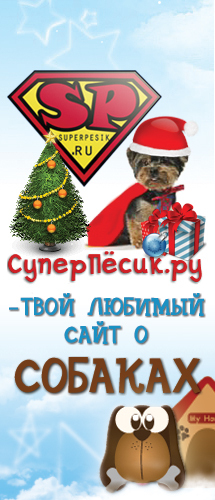 Superpesik_RU's profile picture. Hallo People. еУУУ народ.читайте и будьте читаемыми)
Про лучший сайт про собак,про жизнь,про себя....про Харьков.Про все интересное))) FOLLOW ME))))