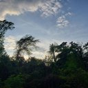 Jasper - @Jasper_Robin16 - Twitter