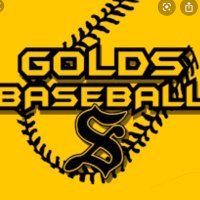 Saginaw Golds 15u 2025/2026 (@13ukoin) 's Twitter Profile