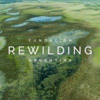 Rewilding Argentina(@RewildingArg) 's Twitter Profile Photo