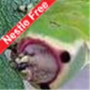 CerulaVinula's profile picture. The first casualty of war is truth