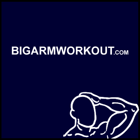 bigarmworkout's profile picture. Getting big arms is what every bodybuilder wants to achieve, not just body builders, anyone into physical fitness would love to have strong well built arms.