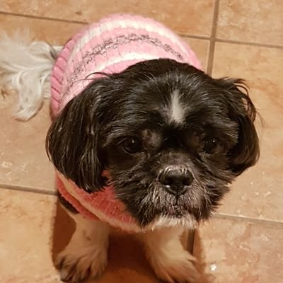 patsycline_v's profile picture. 