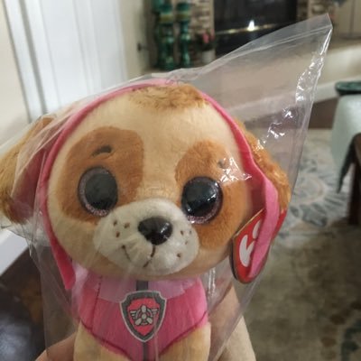 debm619's profile picture. Retired. Like traveling and reading.