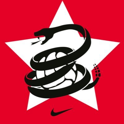 Catholic convert 2019. libertarian leaning conservative. @RedArmyDSM co-founder. Indiana Fever bandwagon. Fan of @ChicagoFire @Arsenal @NHLBlackhawks @Chiefs