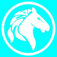 Dark Horse Recruits Girls (@dhrecruitsgirls) 's Twitter Profile Photo