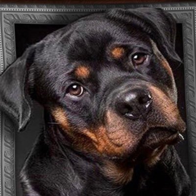 atal27's profile picture. لاإله الا انت سبحانك إني كنت من الظالمين