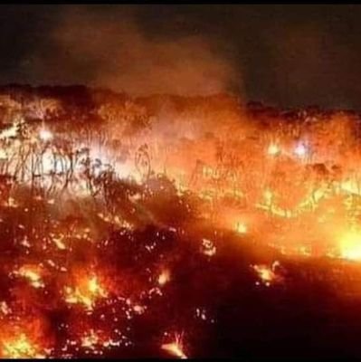 husnatariqm's profile picture. 