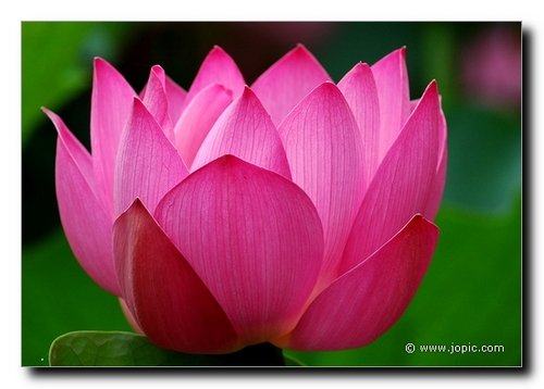 YogaanandaMty's profile picture. amor al arte