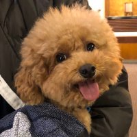 シルク150% (@silk150) Twitter profile photo