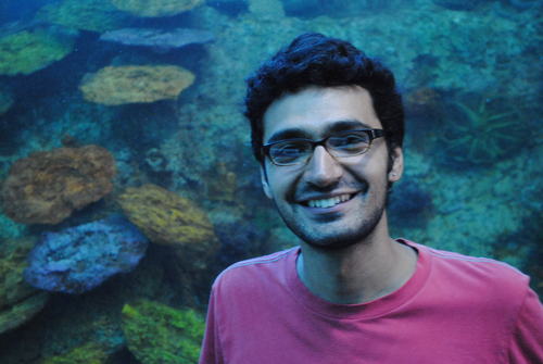 FelipeMacayaA's profile picture. 