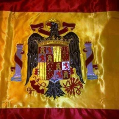 No discuto 🇪🇸🇪🇸
Antipodemita y antiseparatista
VAMOS VOX!🇪🇸💚🇪🇸💚