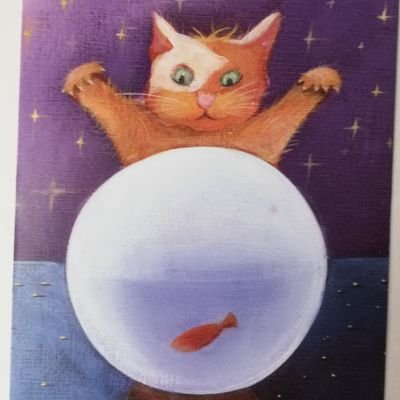Tenia un altre compte, però no em sortien memes, i la gent no em seguia.