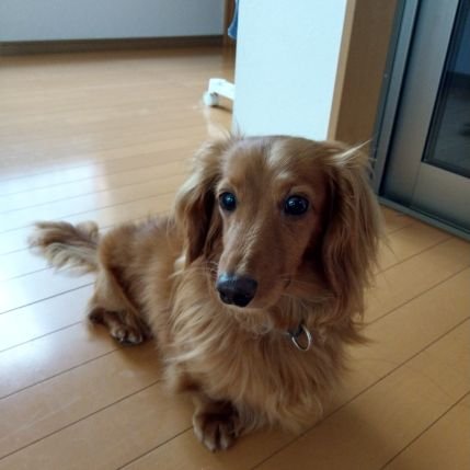 elxrD2xArKtIvlP's profile picture. 転職思案中〜