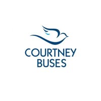 Courtney Buses (@courtneybuses) 's Twitter Profile