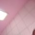 นเดช (@7i18cc8jinbc5tp) Twitter profile photo นเดช (@7i18cc8jinbc5tp) Twitter profile photo