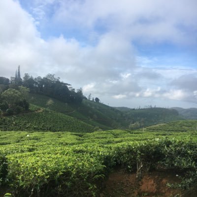 WadiRashtra's profile picture. 