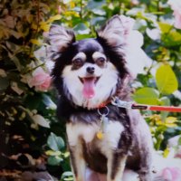 トモッチ (@tomotake0219) 's Twitter Profile