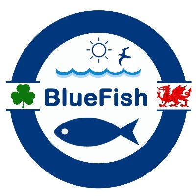 Visit BlueFish Profile