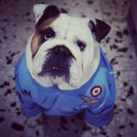 Tiziano (@cholo81) 's Twitter Profile