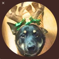 もりちゃん (@morichenemorich) 's Twitter Profile Photo もりちゃん (@morichenemorich) 's Twitter Profile Photo