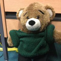 Year 5 Warstones Primary School(@WarstonesYear5) 's Twitter Profile Photo