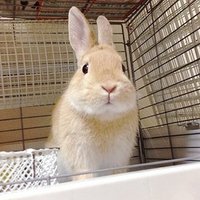 タロマル (@j1ch55scel9h5rr) 's Twitter Profile