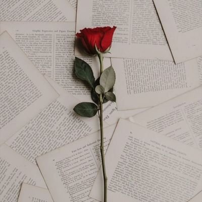 vidasemversoofc's profile picture. • Inspiração & • Memórias. SP

Facebook: Vidasemversoofc