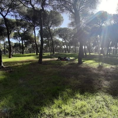 Puedes elegir lo que dices, pero tal vez no lo que piensas. Y ¿para qué es la libertad de expresión sino para decir lo que honestamente se piensa?