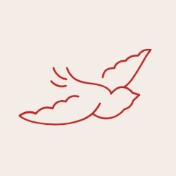 ngteiki's profile picture. '99 滋賀→京都→奈良→東京