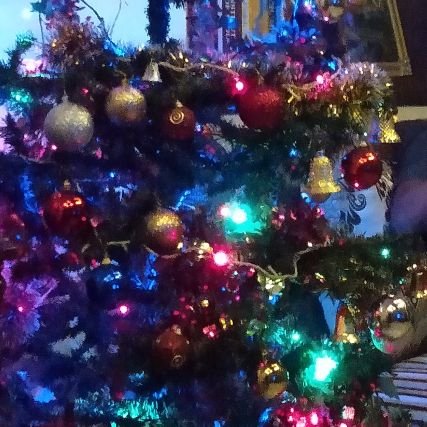 Sherley_23's profile picture. Lawyer, @nlud, AP High Court at Amaravathi