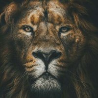 Я х нація (@kingwami1) 's Twitter Profile Photo