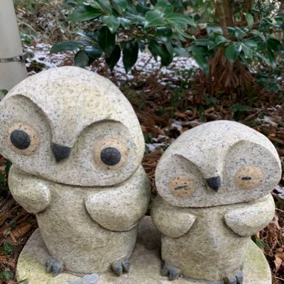 子供達、長男(中学2)次男(小3)妻の誘いもありバドミントンをやっております 。妻(バドミントン経験者)私(ド素人、口だけは一丁前な私)😯 親子共々日々、強くなる為に鍛錬中^ ^ 私もバドミントンに少しハマりました🤏よかったら気軽に声かけてくださいねー*\(^o^)/*