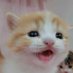 @hiropon5316