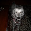 Natalie Eddy - @NEddy4 - Twitter