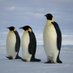 PCP Penguins π§ (Year 5) (@pcppenguins) Twitter profile photo PCP Penguins π§ (Year 5) (@pcppenguins) Twitter profile photo