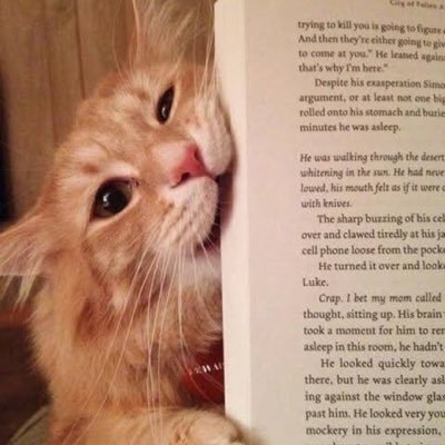 pagi2kayazombie's profile picture. 