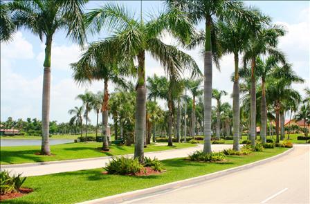 Everything Doral!