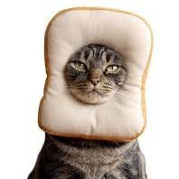 CarlosKadu08's profile picture. https://t.co/J1wAjYDgcF
 kadu08@hotmail.com