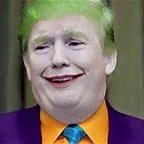 TrumpOutToday's profile picture. Trump is an impeached War Criminal. Make a stand and vote this idiot out of office. Doing my little part! Environmentalist. Liberal. Proud Father.