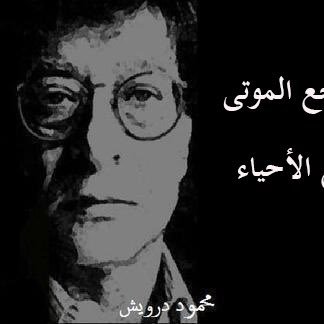 lebmaninkw's profile picture. No follower request please