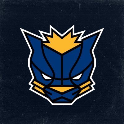 PacersGaming Profile Picture